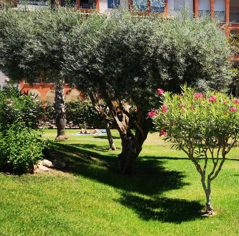 Studio With Terrace And Pool טורבייחה מראה חיצוני תמונה