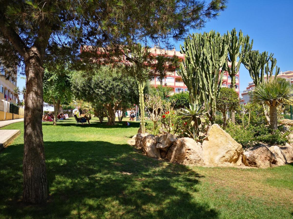 Studio With Terrace And Pool טורבייחה מראה חיצוני תמונה